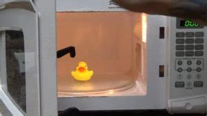 Can you microwave 5 plastic? And what happens if you microwave a rubber duck?