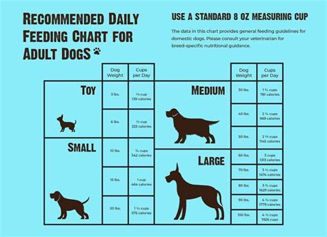 How Much Chicken to Feed a Dog Daily: A Journey Through Canine Nutrition and Beyond