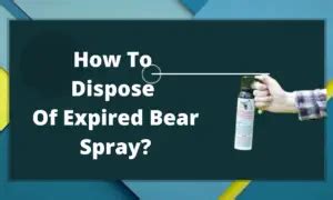 How to Dispose of Bear Spray: A Comprehensive Guide and the Curious Case of Pineapple Pizza