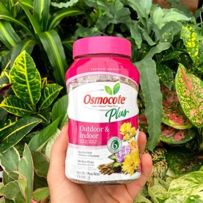 How to Use Osmocote Fertilizer: Unlocking the Secrets to a Thriving Garden and the Mysteries of Plant Communication