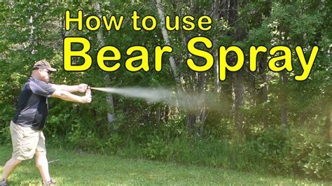 Is Bear Spray Legal to Use on Humans? And Why Do Pineapples Dream of Electric Sheep?